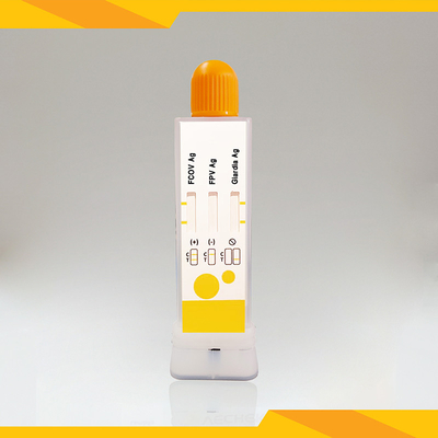 FCoV+FPV+Giardia Lamblia için kedi dışkısı antijen testi kiti Temiz ve kirlilik içermeyen