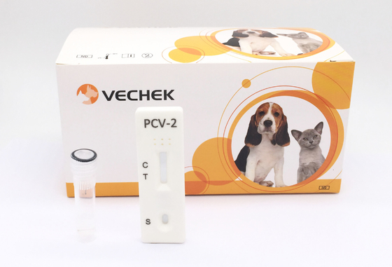 ODM PCV-2 Domuz Test Kiti Circovirus 2 Antikor Testi