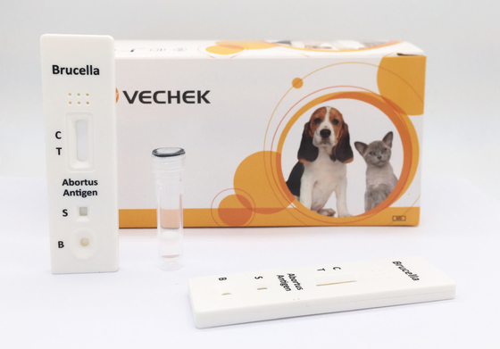 Kalitatif ve Ön Bilgili 10 Dakika Sığır Brucella Antijen Testi