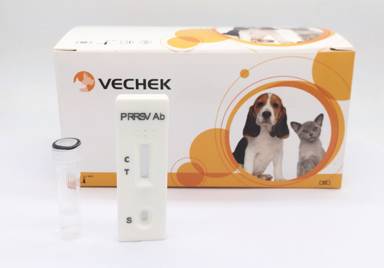 PRRSV Domuz Test Kiti Üreme ve Solunum Sendromu Virüs Antikor Testi
