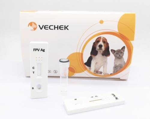 Feline Panleucopenia Virüs Antijeni (FPV Ag) Testi Yüksek Özgüllük